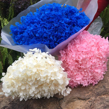 Load image into Gallery viewer, Hydrangea Branch 16-20cm/ Head  Natural Dried flowers ,DIY Eternal Wedding Marriage Floral ,Home  Gift Box Decor
