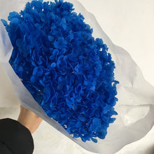 Load image into Gallery viewer, Hydrangea Branch 16-20cm/ Head  Natural Dried flowers ,DIY Eternal Wedding Marriage Floral ,Home  Gift Box Decor
