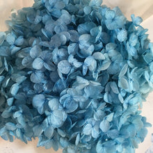 Load image into Gallery viewer, Hydrangea Branch 16-20cm/ Head  Natural Dried flowers ,DIY Eternal Wedding Marriage Floral ,Home  Gift Box Decor
